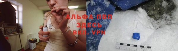 эйфоретик Белокуриха