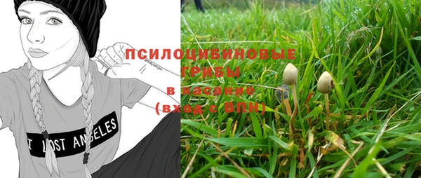 apvp Болхов