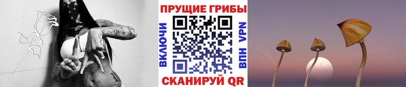 Псилоцибиновые грибы Psilocybine cubensis  гидра зеркало  Вяземский  даркнет сайт 